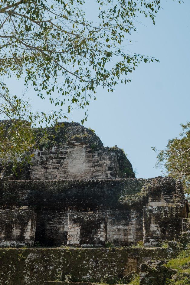 jana meerman tikal mayan ruins flores guatemala-53