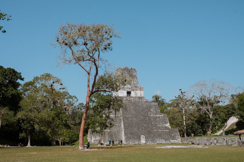 jana meerman tikal mayan ruins flores guatemala-53