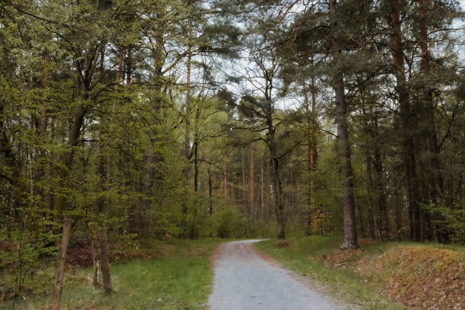 jana meerman Ścieżka geoturystyczna poland-1