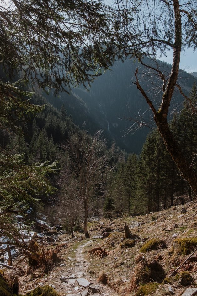 jana meerman schodersee lake hike austria-84