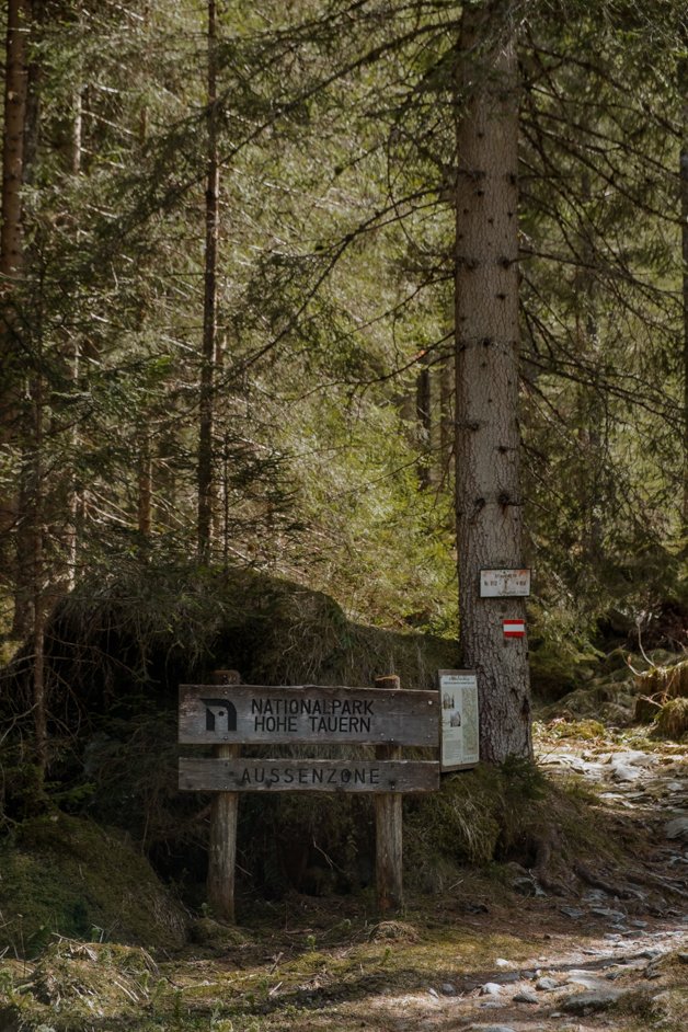 jana meerman schodersee lake hike austria-84