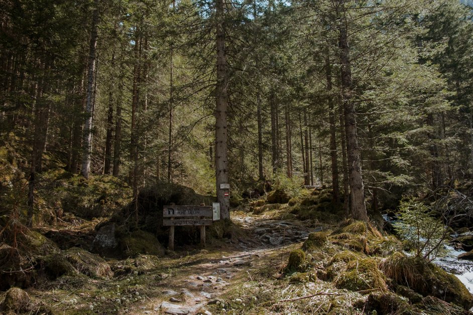 jana meerman schodersee lake hike austria-84