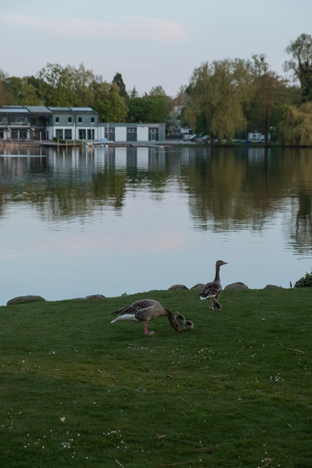 jana meerman schwerin germany-34