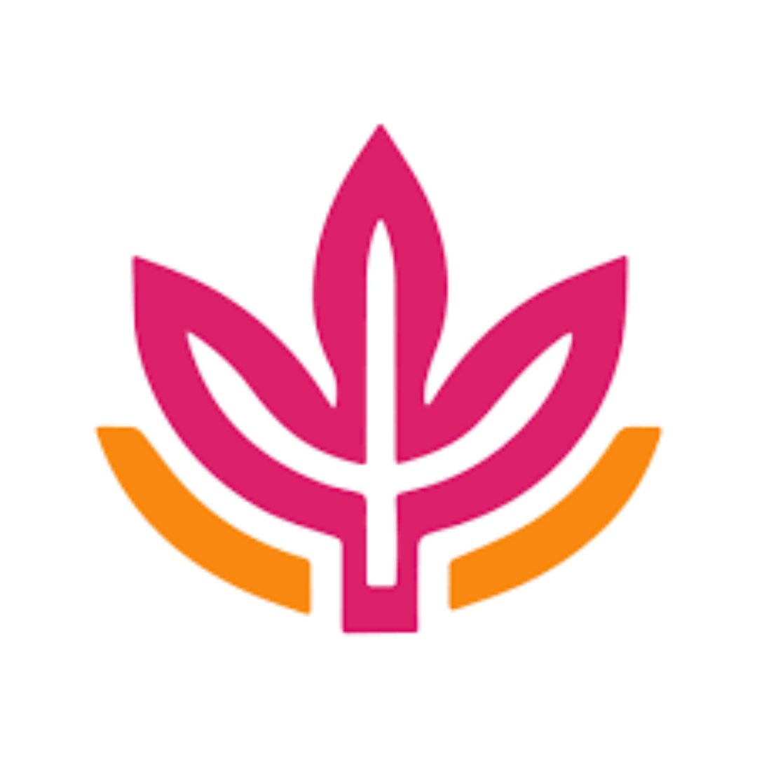 jana meerman awakana superfood bowls