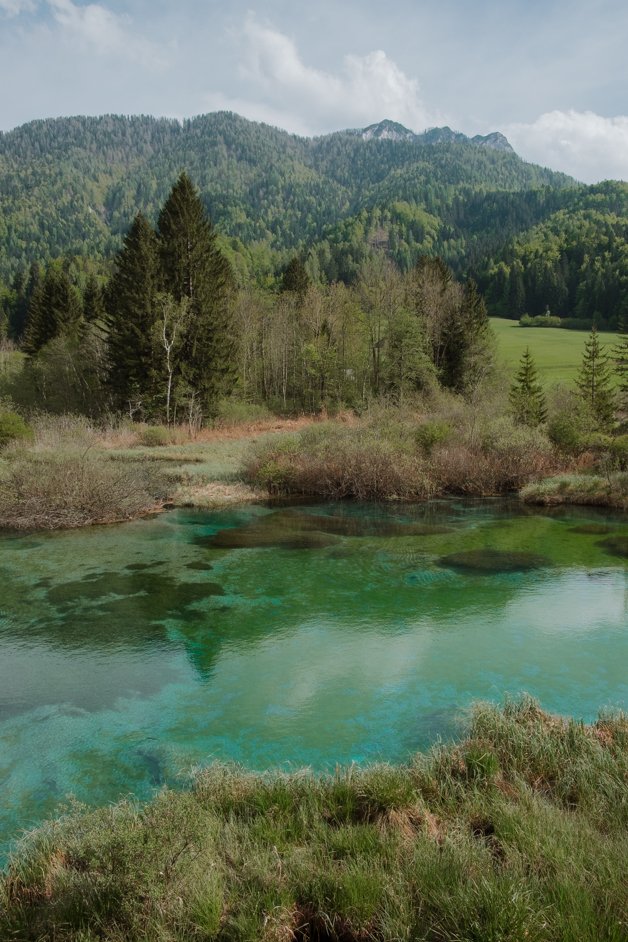 jana meerman zelenci slovenia-15