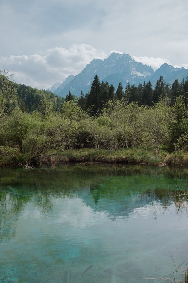 jana meerman zelenci slovenia-15