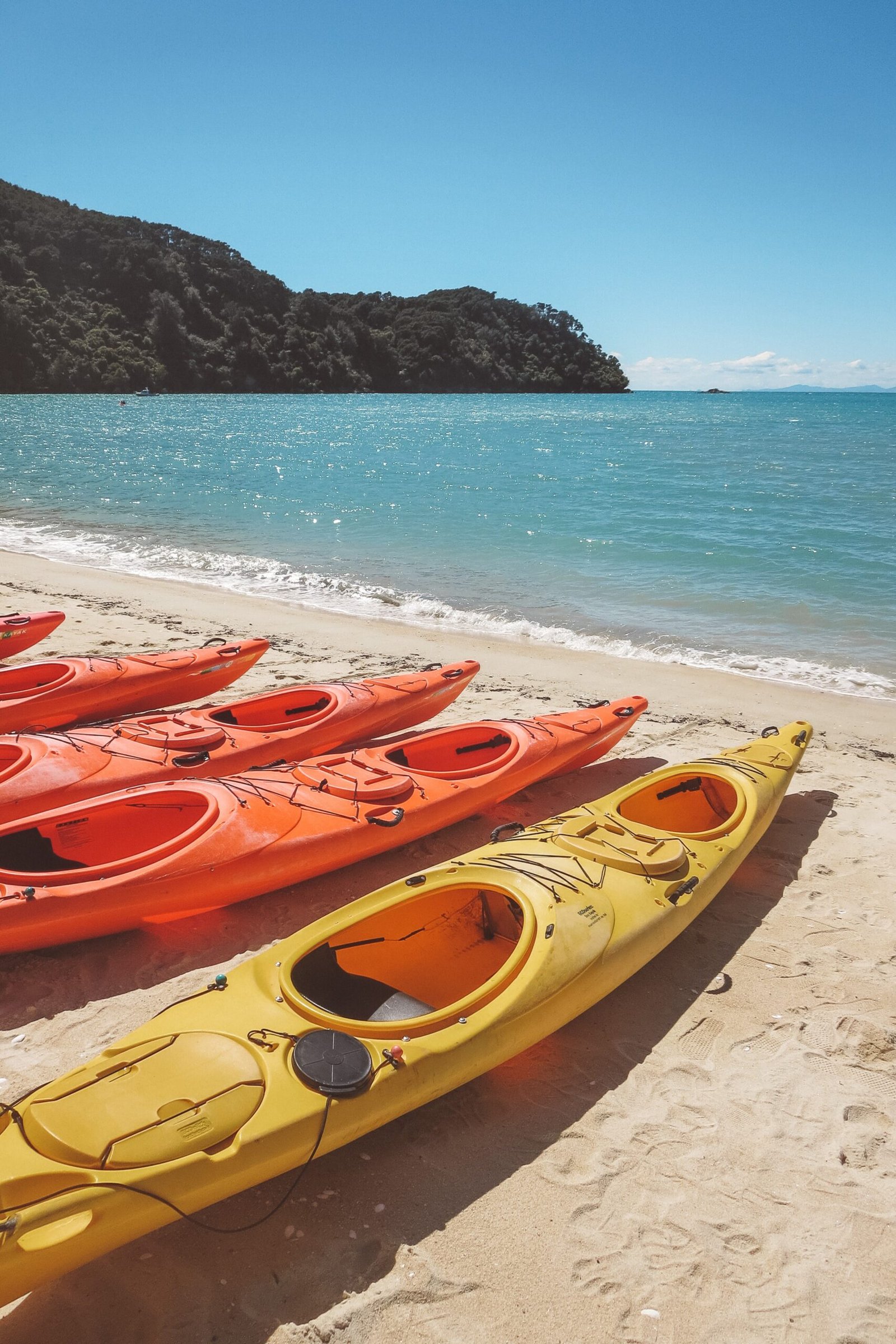 jana meerman abel tasman coast track new zealand