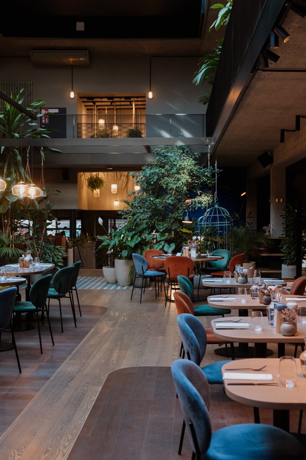 jana meerman hotel gilbert vienna austria-43