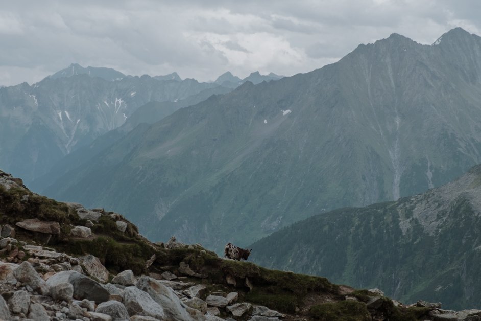 jana meerman olpererhutte hike tyrol austria-15