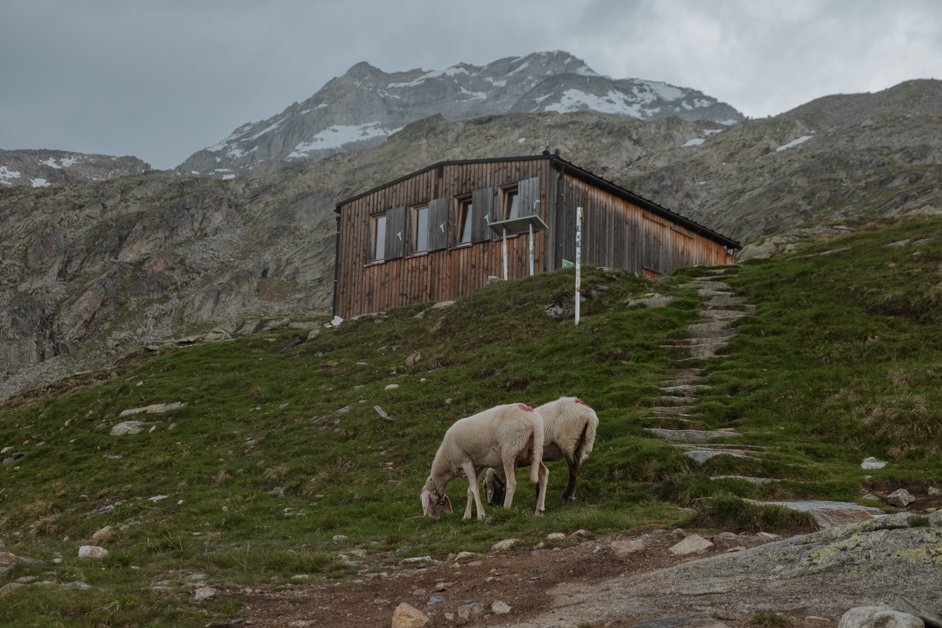 jana meerman olpererhutte hike tyrol austria-15
