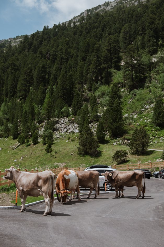 jana meerman olpererhutte hike tyrol austria-25