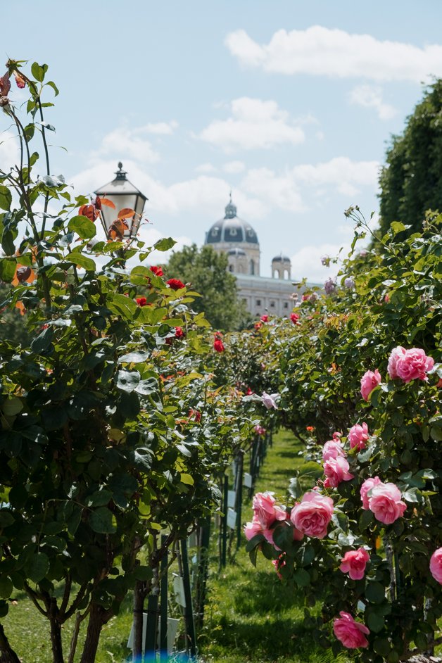 jana meerman vienna austria-19