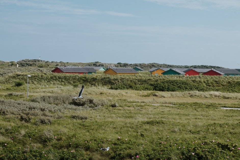 jana meerman helgoland germany-093