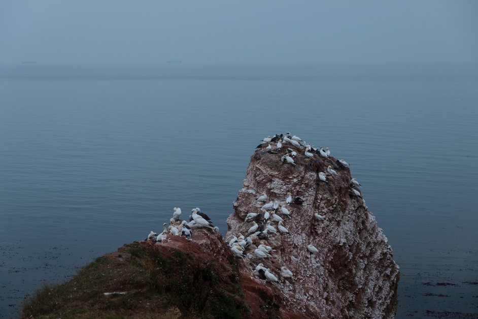 jana meerman helgoland germany-109