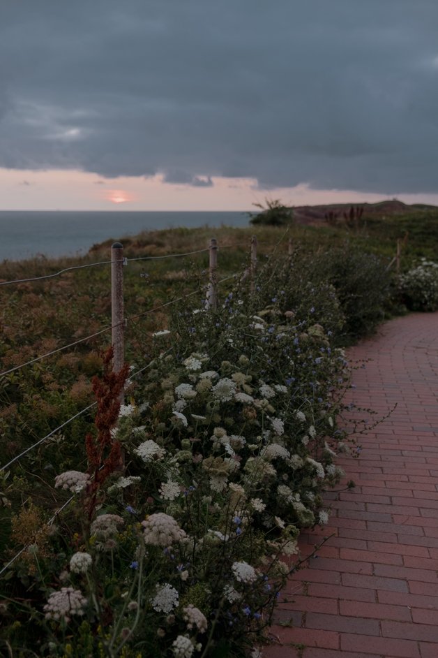 jana meerman helgoland germany-041