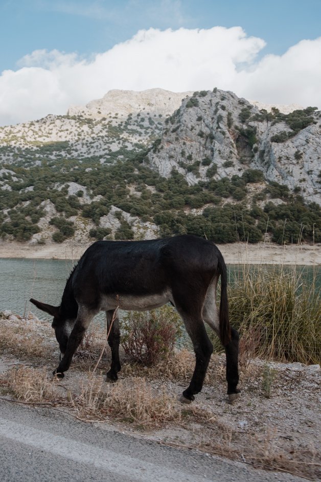 jana meerman sa calobra mountain pass drive mallorca-10