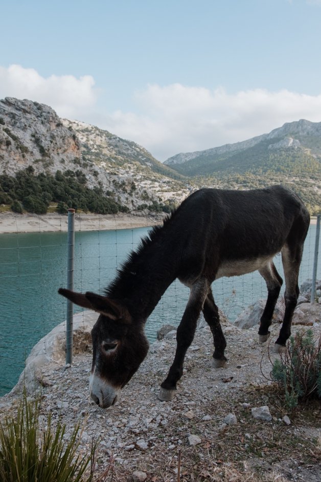 jana meerman sa calobra mountain pass drive mallorca-10