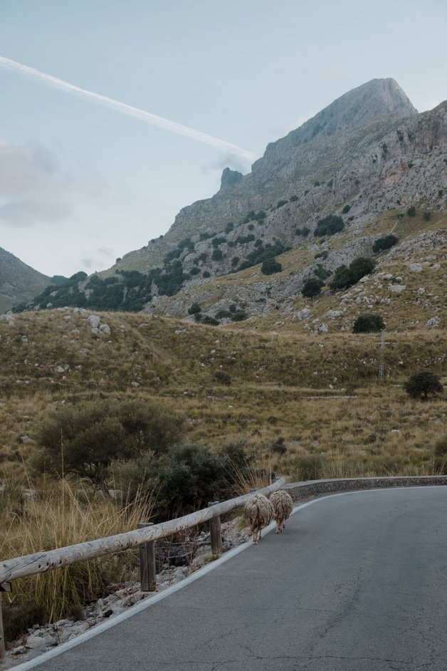 jana meerman sa calobra mountain pass drive mallorca-29