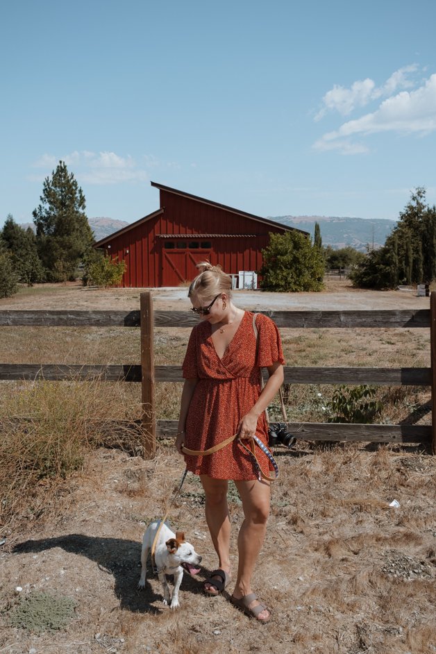 jana meerman california-19