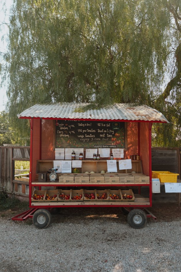 jana meerman california-19