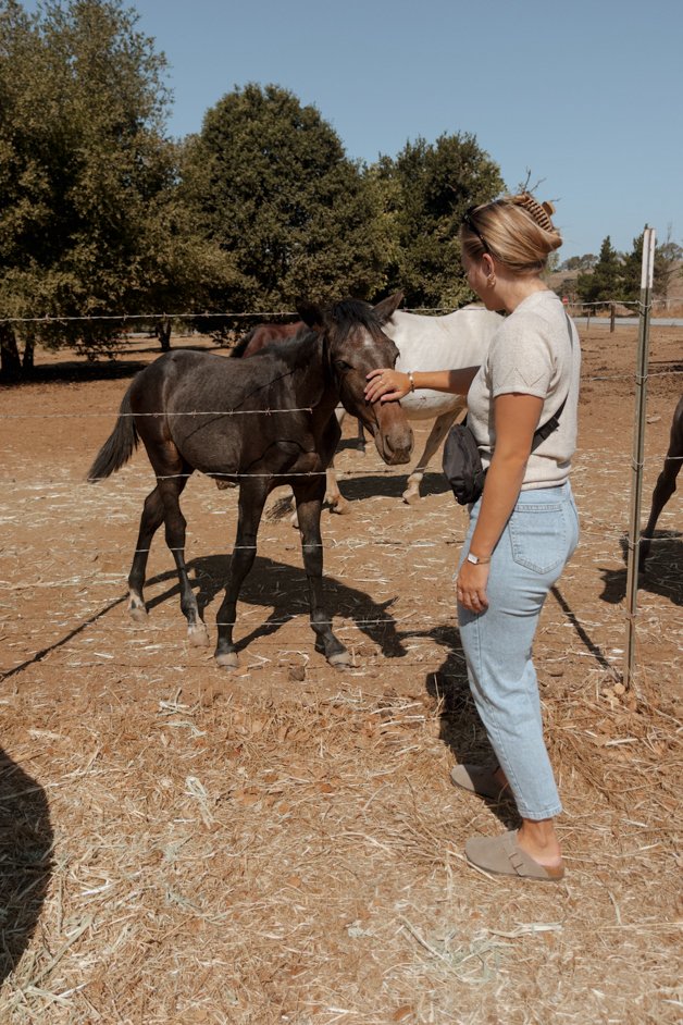 jana meerman california-19