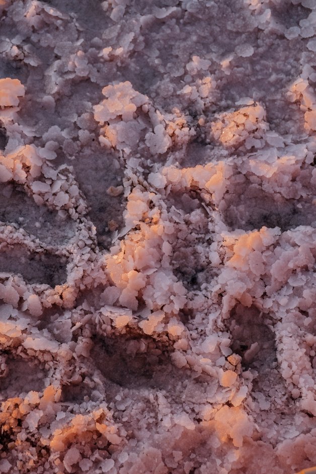 jana meerman lake tyrell pink lake australia-01