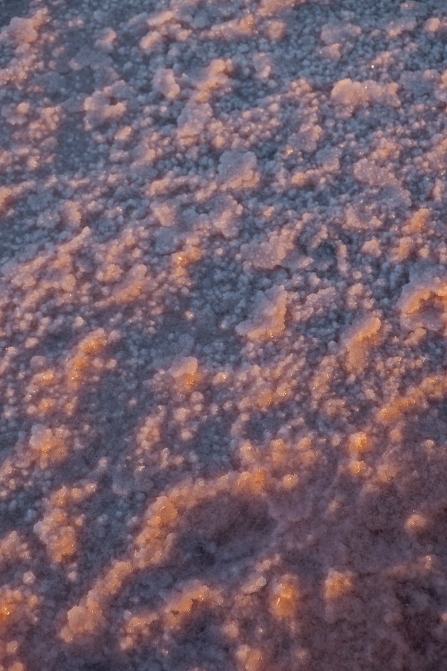 jana meerman lake tyrell pink lake australia-01