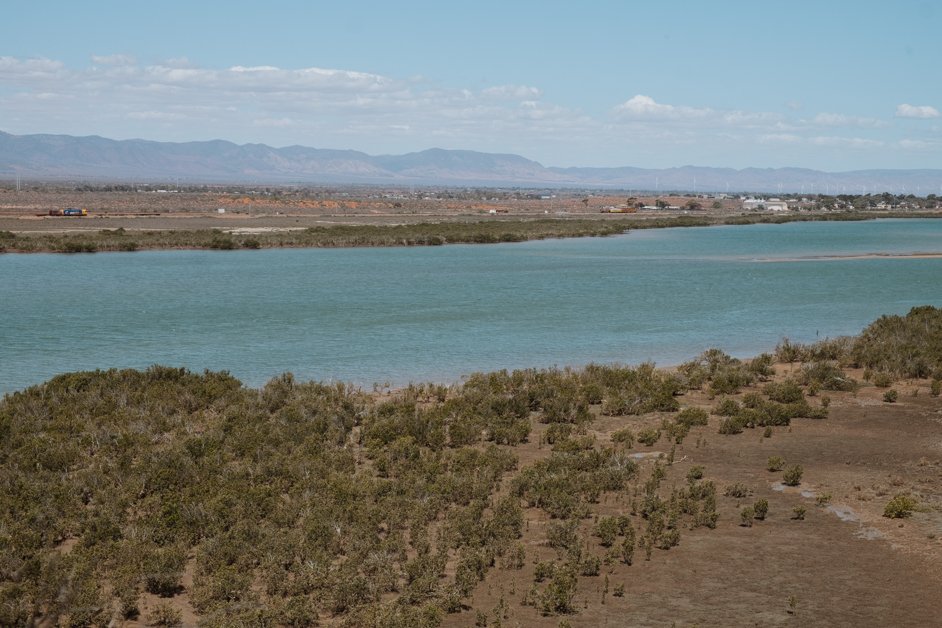 jana meerman matthew flinders lookout australia-04