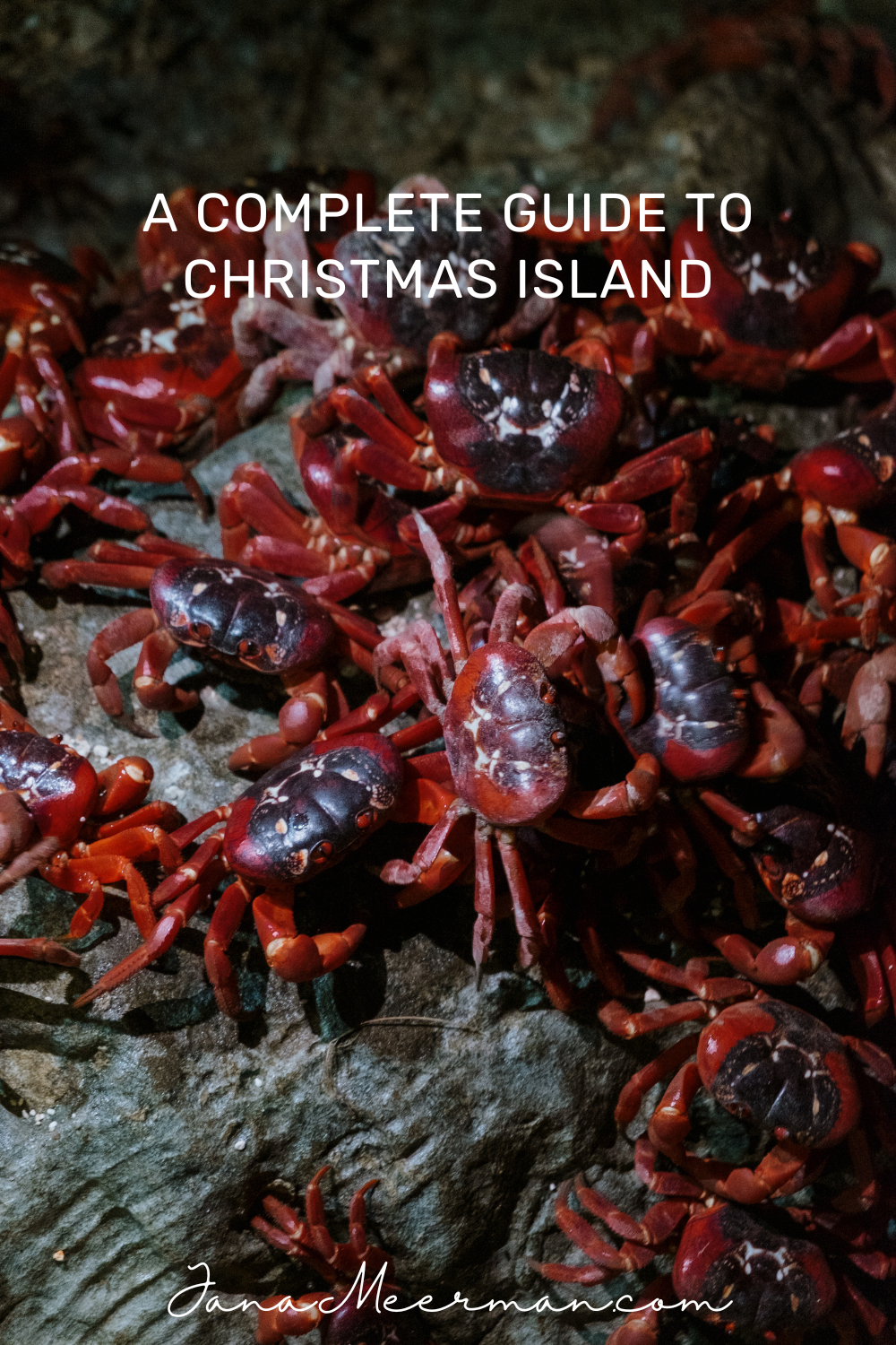 christmas island (2)