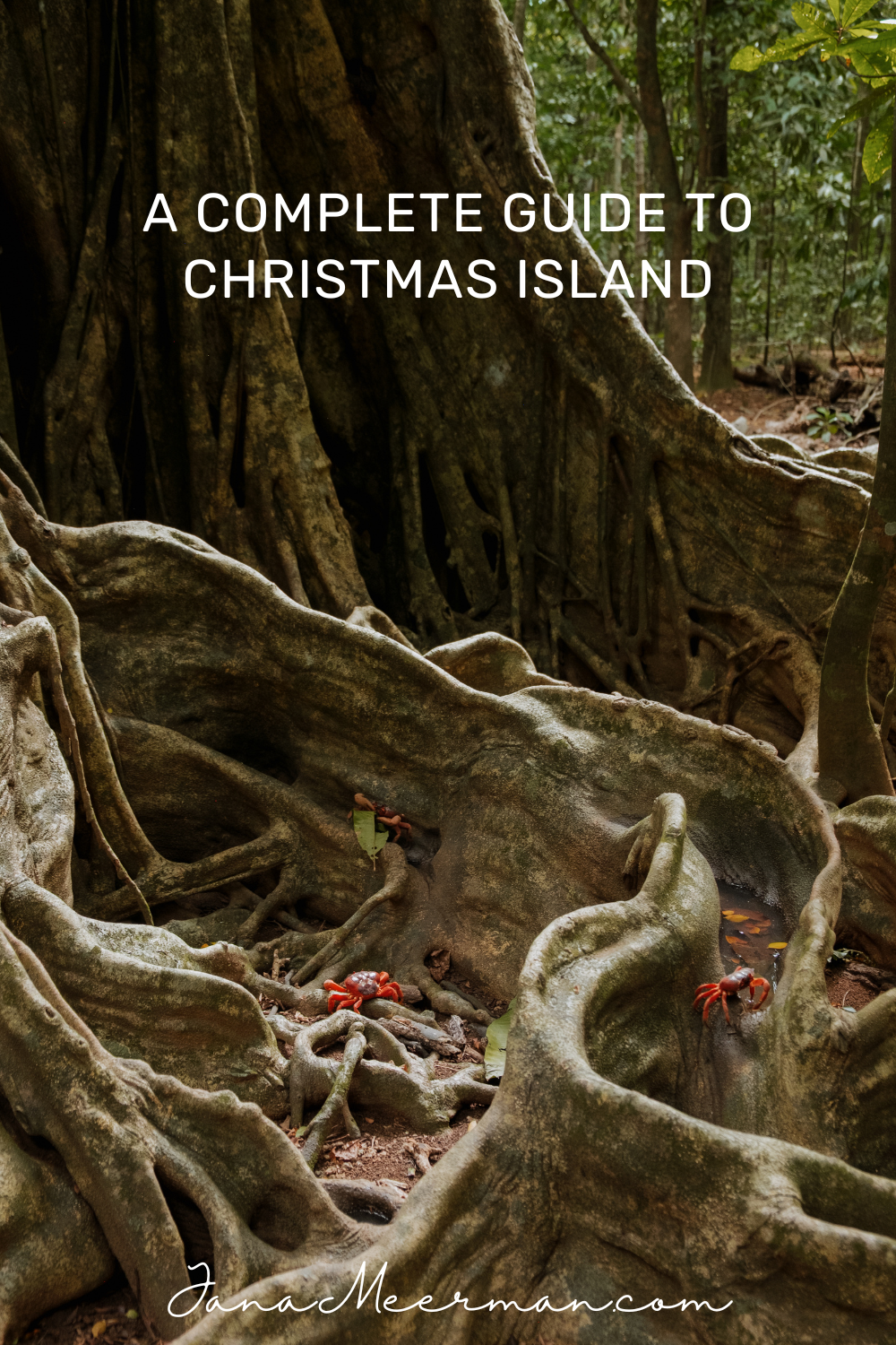 christmas island (2)