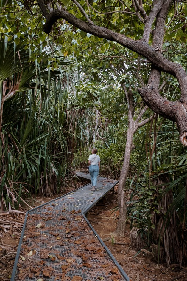 jana meerman blowholes christmas island-01