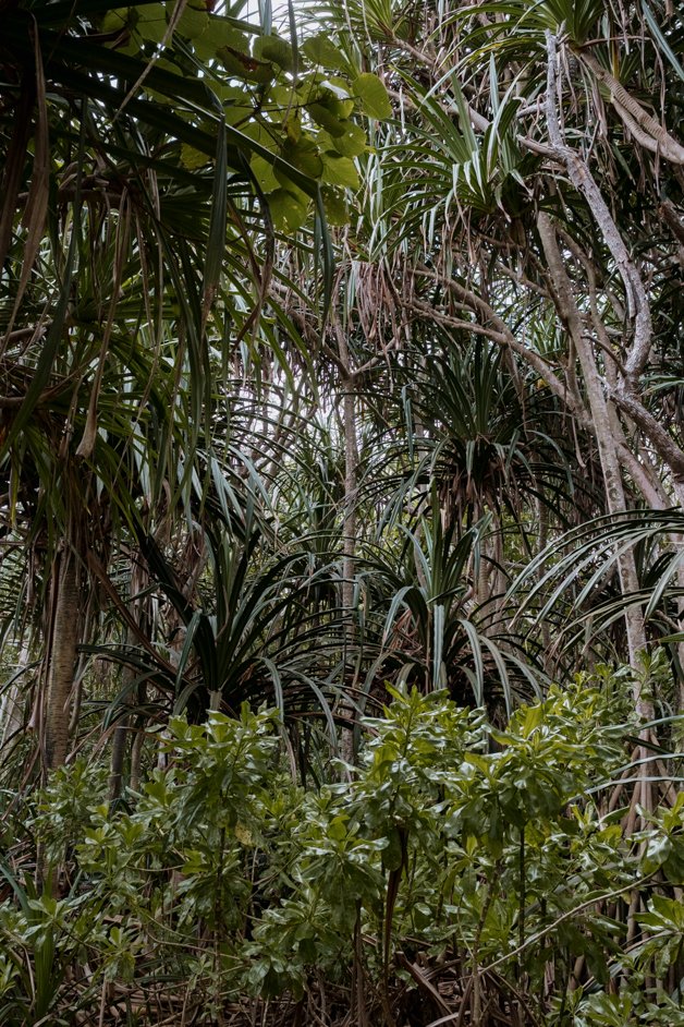 jana meerman blowholes christmas island-01