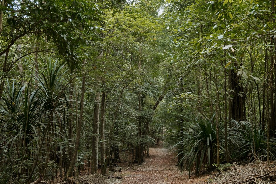 jana meerman blowholes christmas island-01