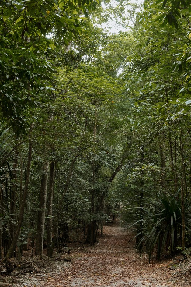 jana meerman blowholes christmas island-01