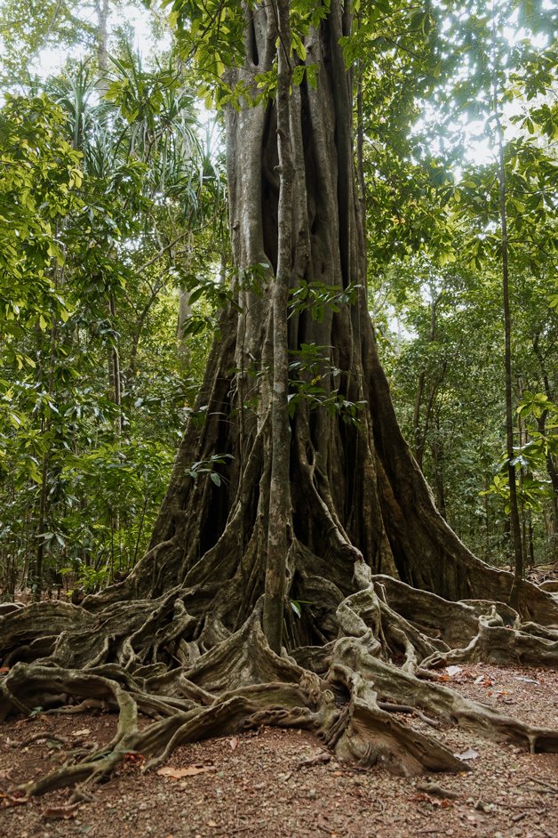 jana meerman blowholes christmas island-01