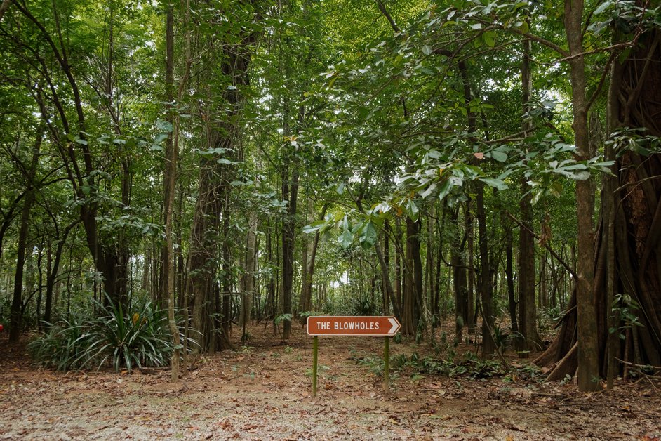 jana meerman blowholes christmas island-01