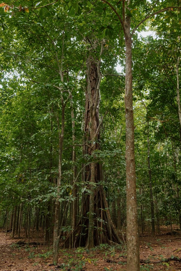 jana meerman blowholes christmas island-01