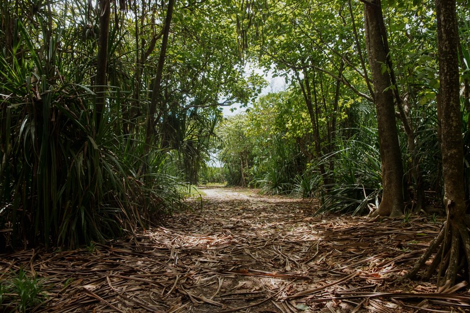 jana meerman blowholes christmas island-01