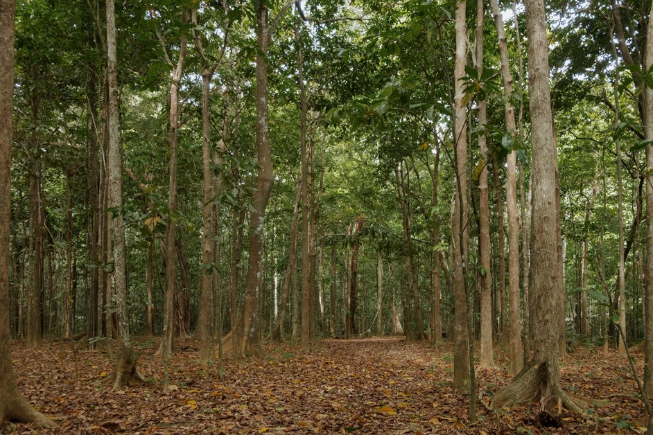 jana meerman blowholes christmas island-01