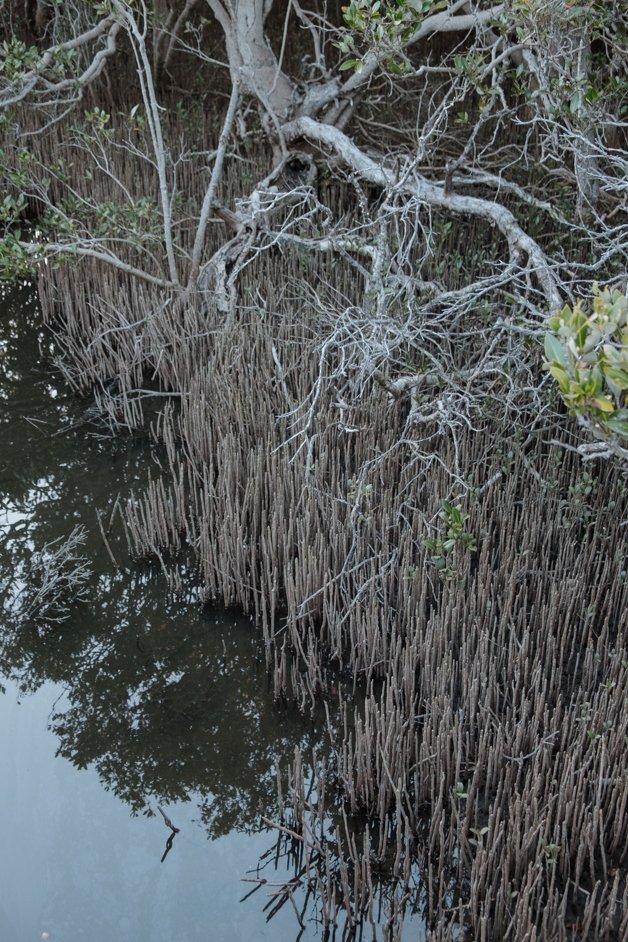 jana meerman bunbury australia-13