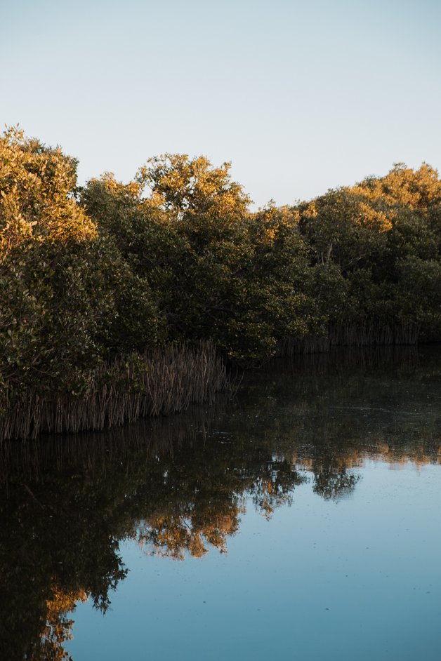 jana meerman bunbury australia-13