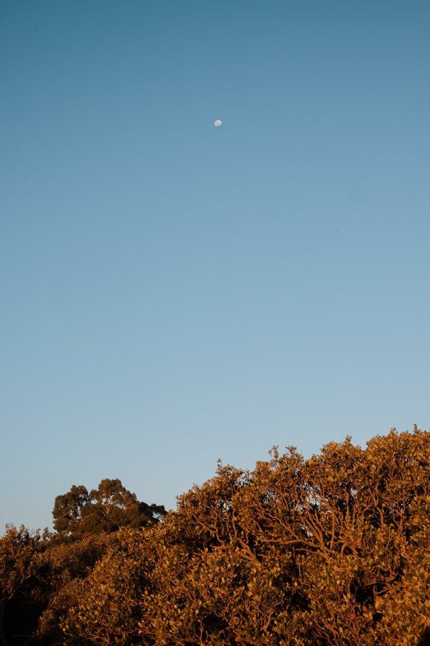 jana meerman bunbury australia-13