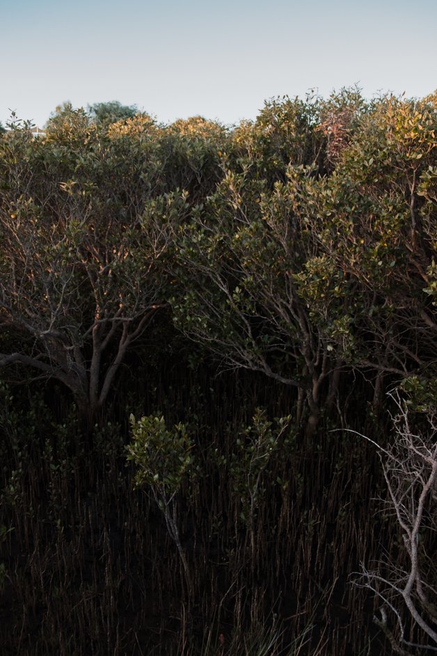 jana meerman bunbury australia-13