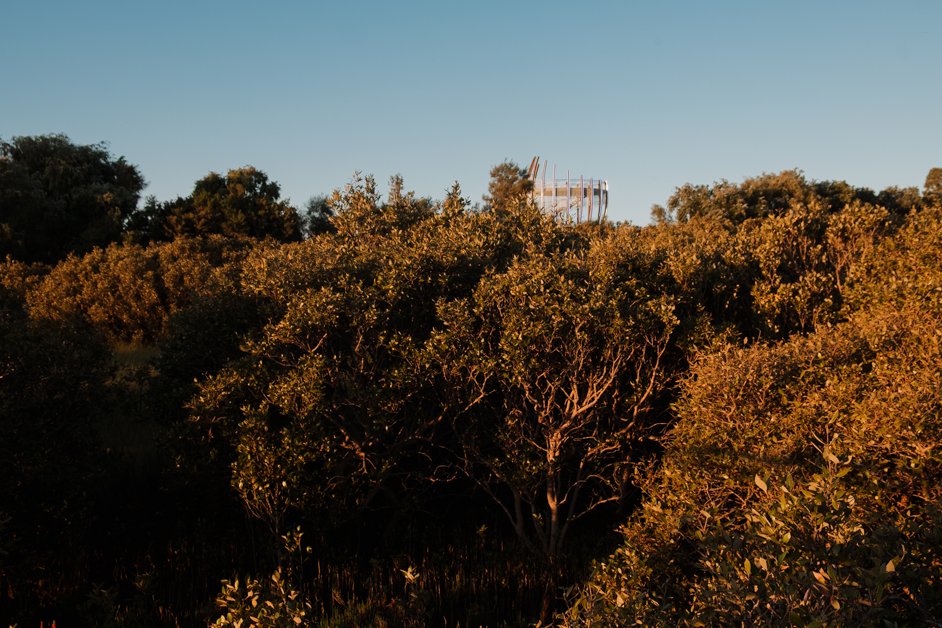 jana meerman bunbury australia-13