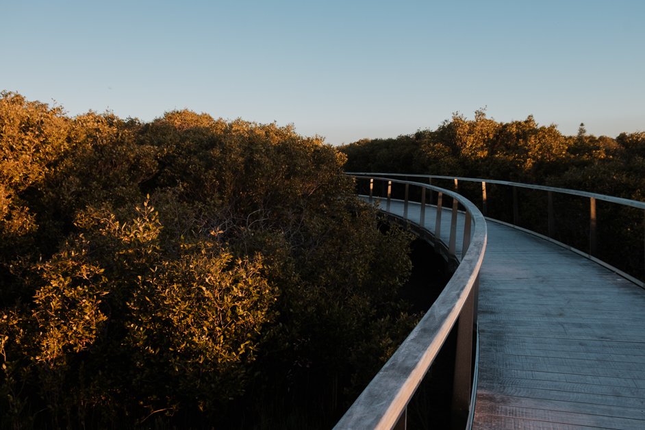 jana meerman bunbury australia-13