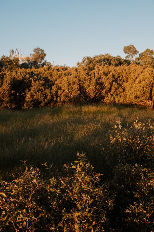 jana meerman bunbury australia-13