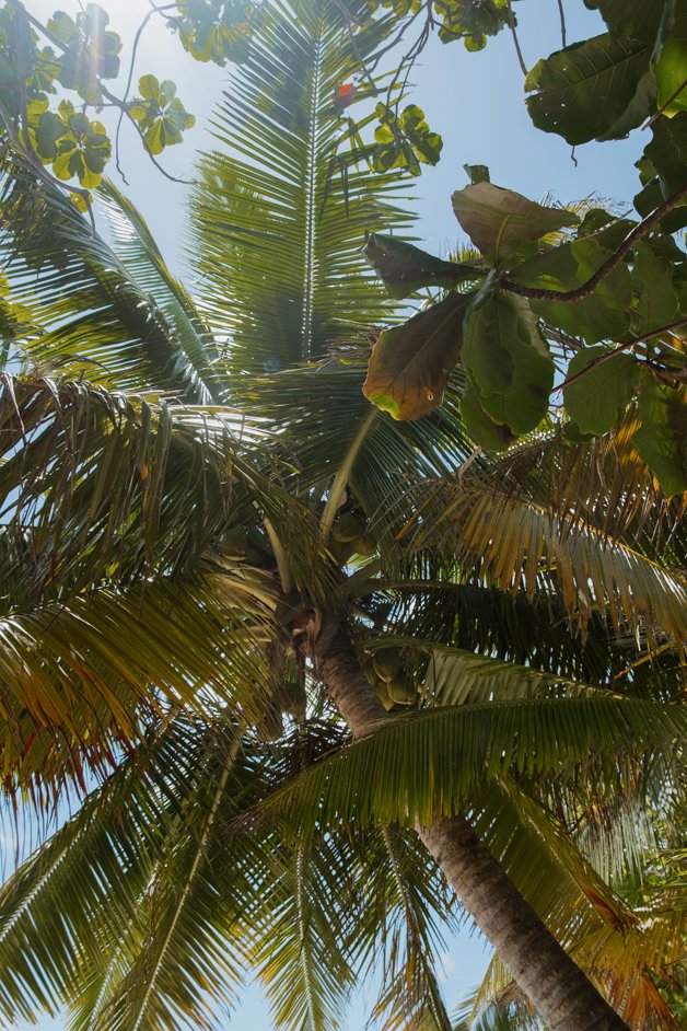 jana meerman direction island cocos keeling islands-26