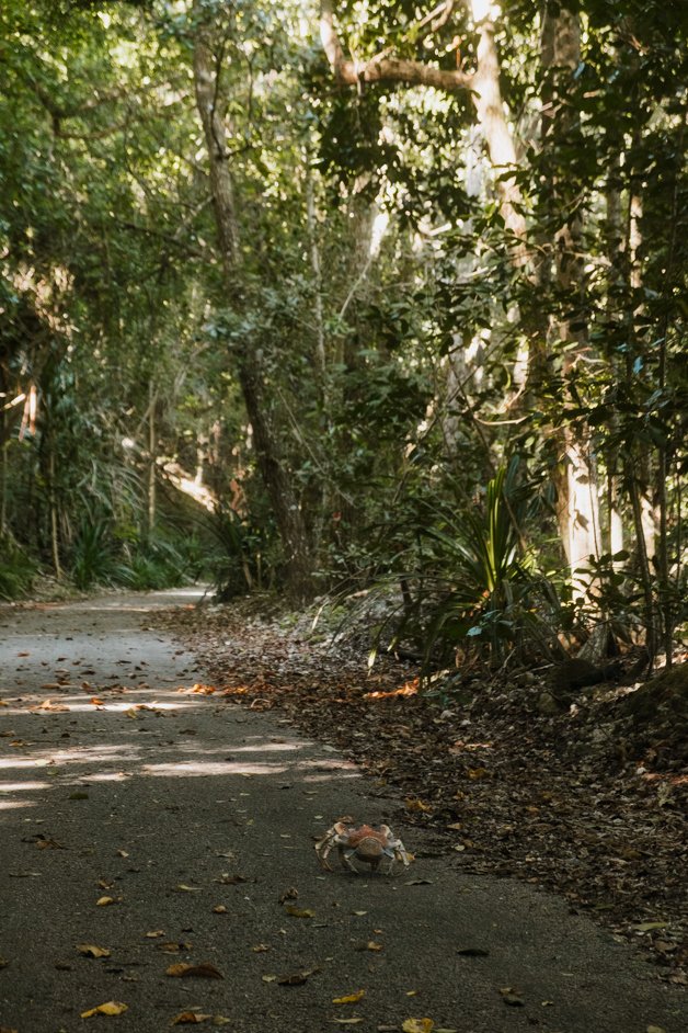 jana meerman dolly beach christmas island-01
