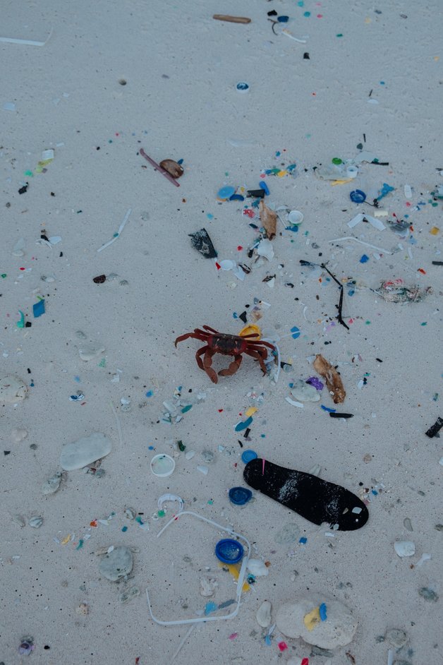 jana meerman dolly beach christmas island-31