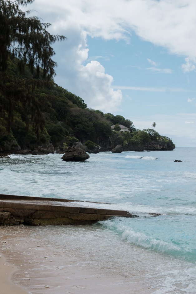 jana meerman flying fish cove christmas island-6
